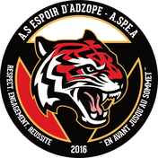 AS Espoir d’Adzopé, accueil